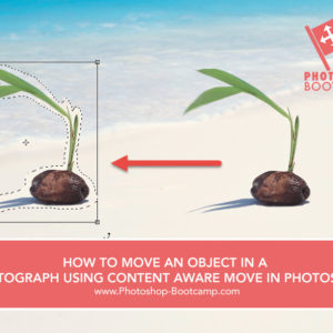 HOW TO MOVE AN OBJECT IN A PHOTOGRAPH USING CONTENT AWARE MOVE IN PHOTOSHOP