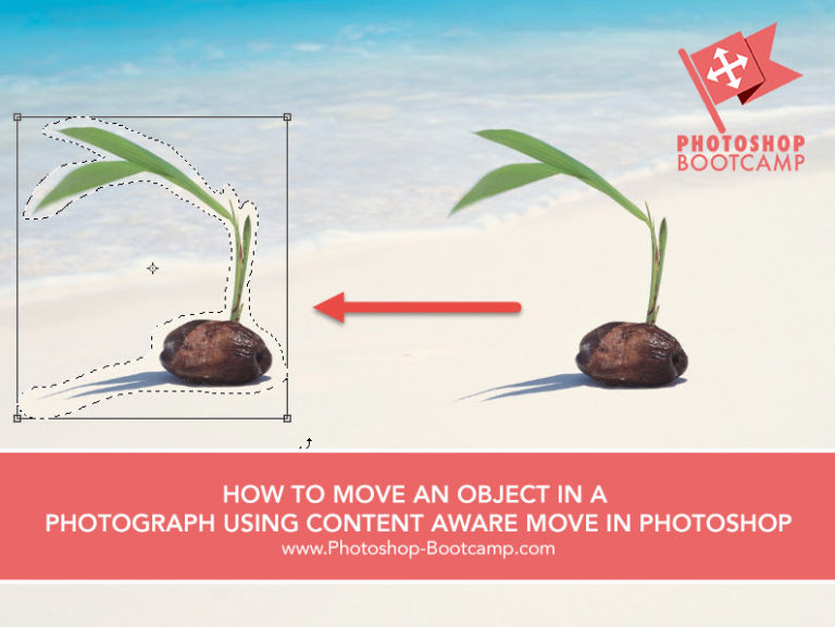 HOW TO MOVE AN OBJECT IN A PHOTOGRAPH USING CONTENT AWARE MOVE IN PHOTOSHOP