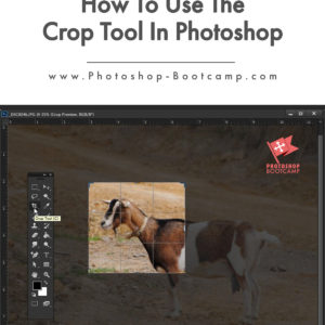 How To Use The Crop Tool In Photoshop