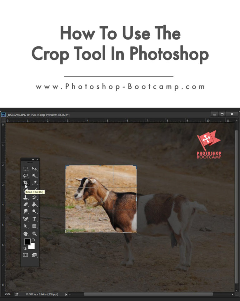 How To Use The Crop Tool In Photoshop