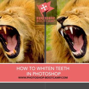 How To Whiten Teeth In Photoshop