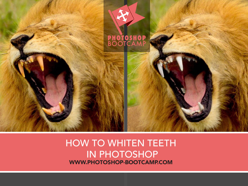 How To Whiten Teeth In Photoshop