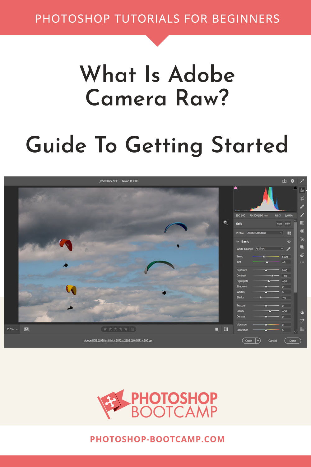 What Is Adobe Camera Raw