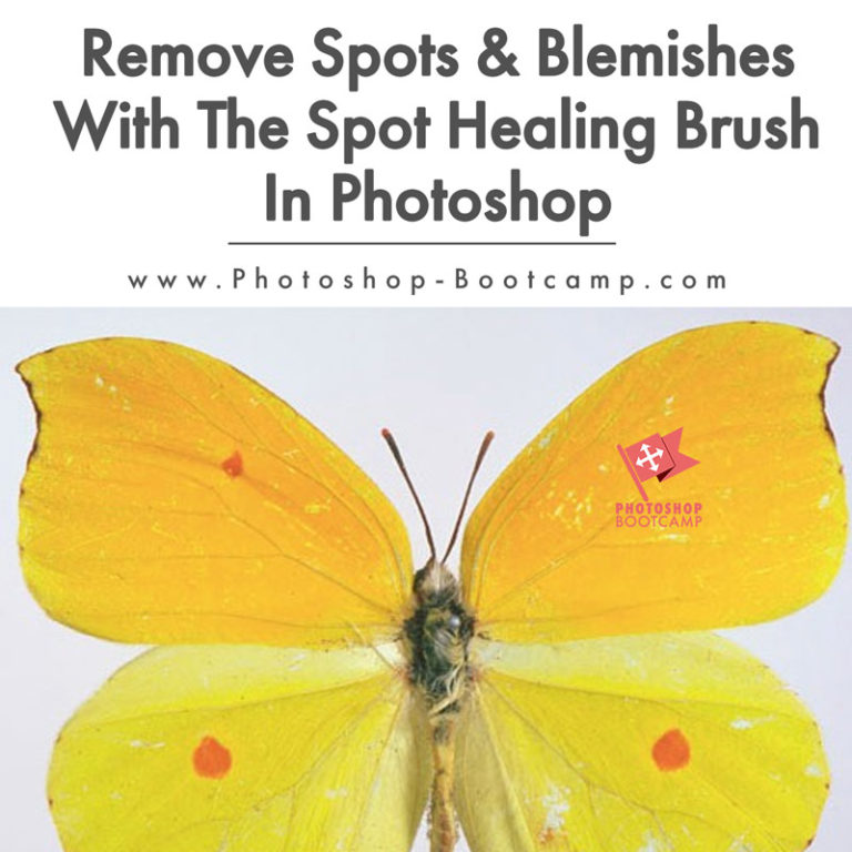 Remove Spots and blemishes with the Spot Healing Brush Tool Photoshop