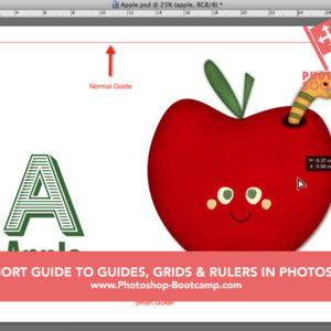 BEGINNERS GUIDE TO GUIDES GRIDS AND RULERS IN PHOTOSHOP