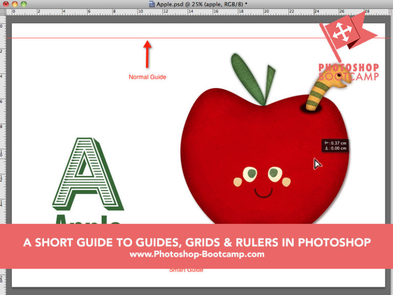BEGINNERS GUIDE TO GUIDES GRIDS AND RULERS IN PHOTOSHOP