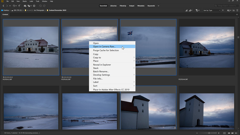 Open Camera Raw From Adobe Bridge