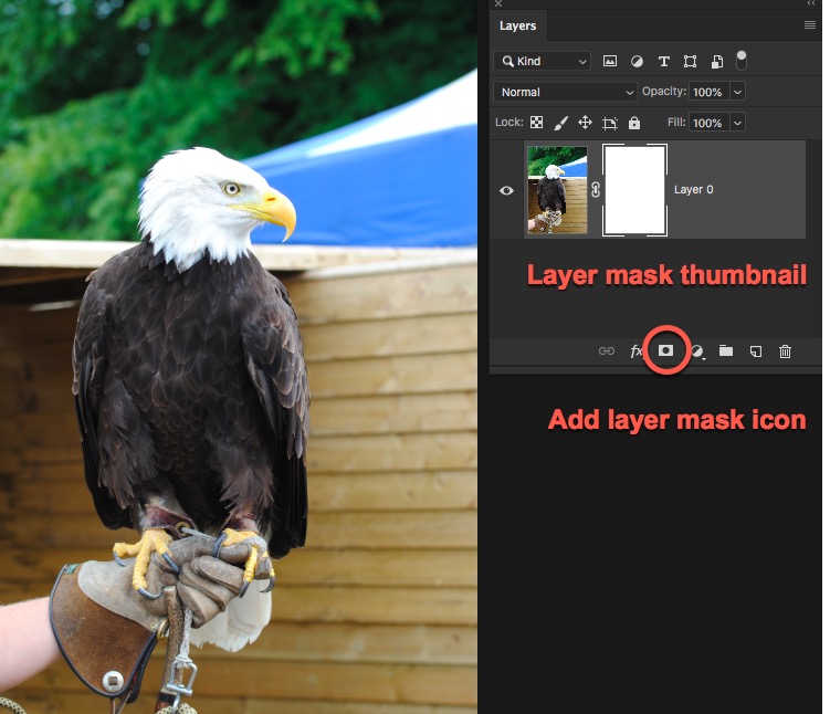 Photoshop Layer Masks - Photoshop Bootcamp