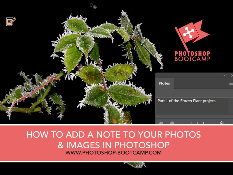 How To Add A Note To An Image In Photoshop
