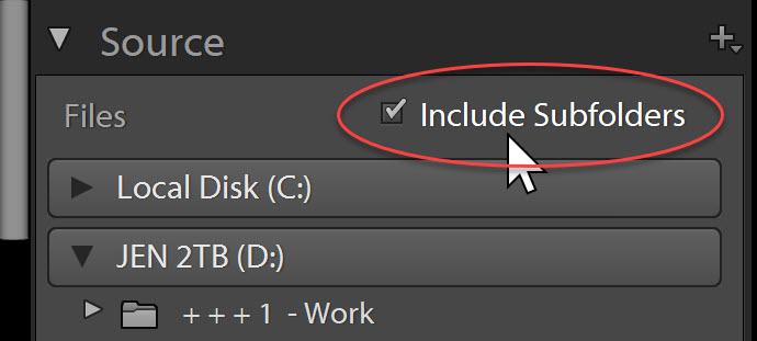 Include Sub Folders - Adobe Lightroom Classic