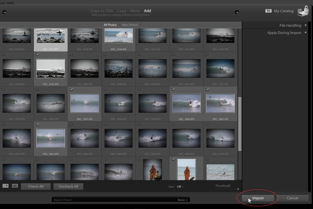 Select individual images to import into Lightroom.
