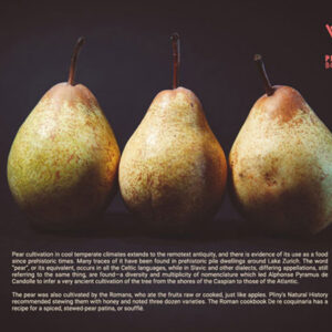How To Add Paragraph Text In Photoshop