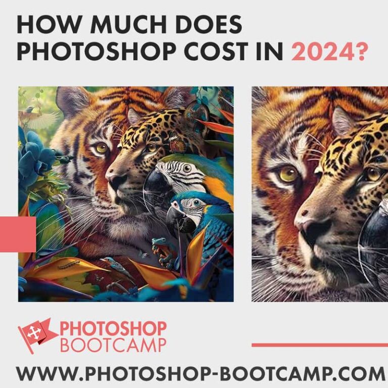 How Much Does Photoshop Cost 2024