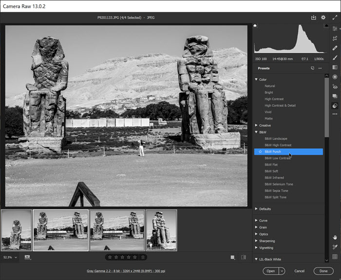 6 Edit Multiple Images In Camera Raw 1