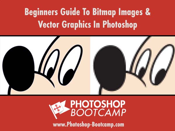 Guide To Bitmap Images And Vector Graphics in Photoshop CC